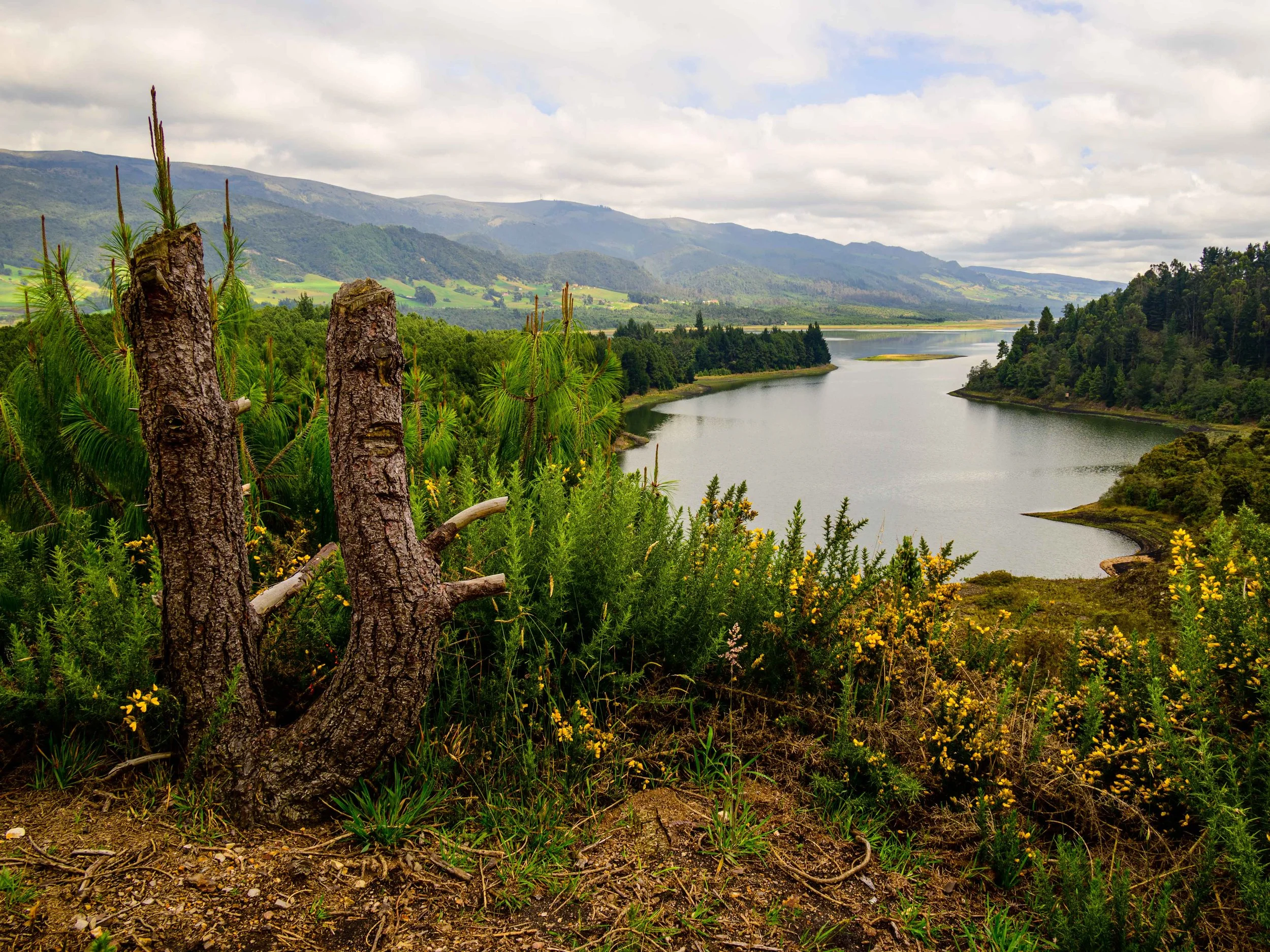 "Form and its Silence" | Embalse del Neusa, Colombia (2020)
