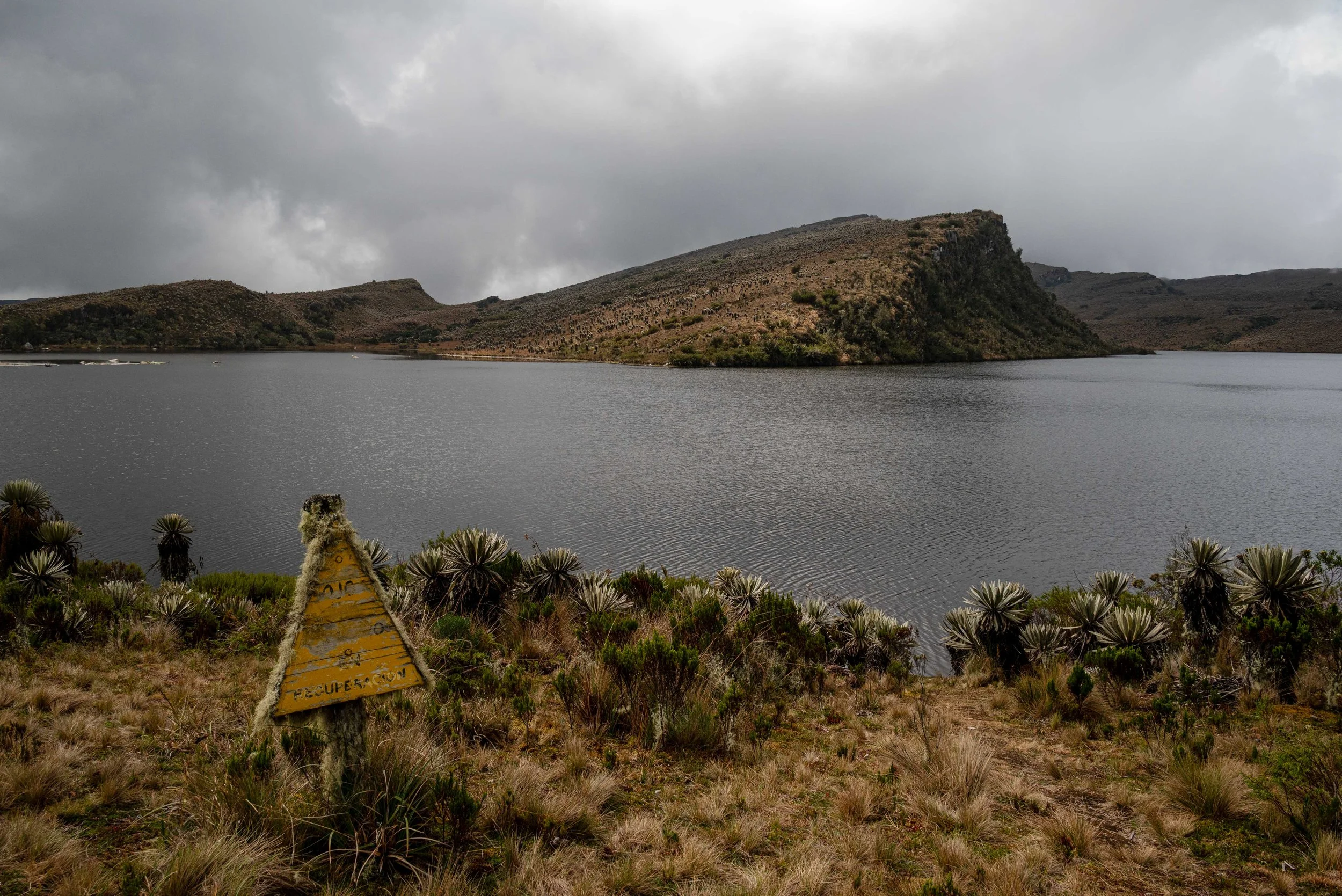 "What the Earth Reclaims in Sleep" | Páramo de Sumapaz, Colombia (2025)