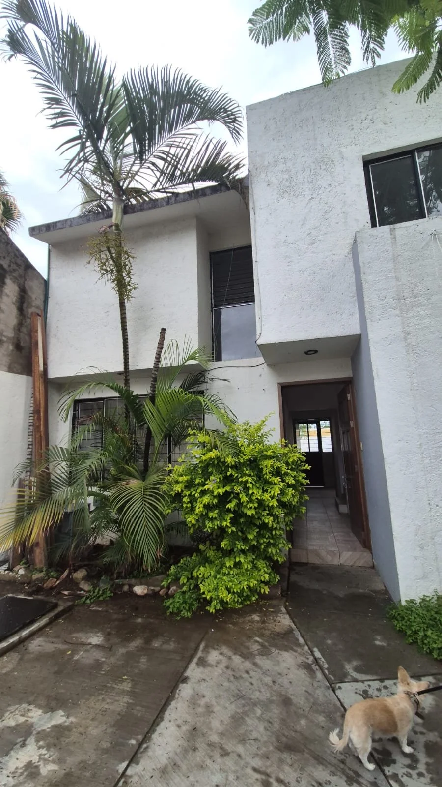 Casa Desamueblada en Renta- 3hab 2baño - 16 ,000 MXN - La Noria