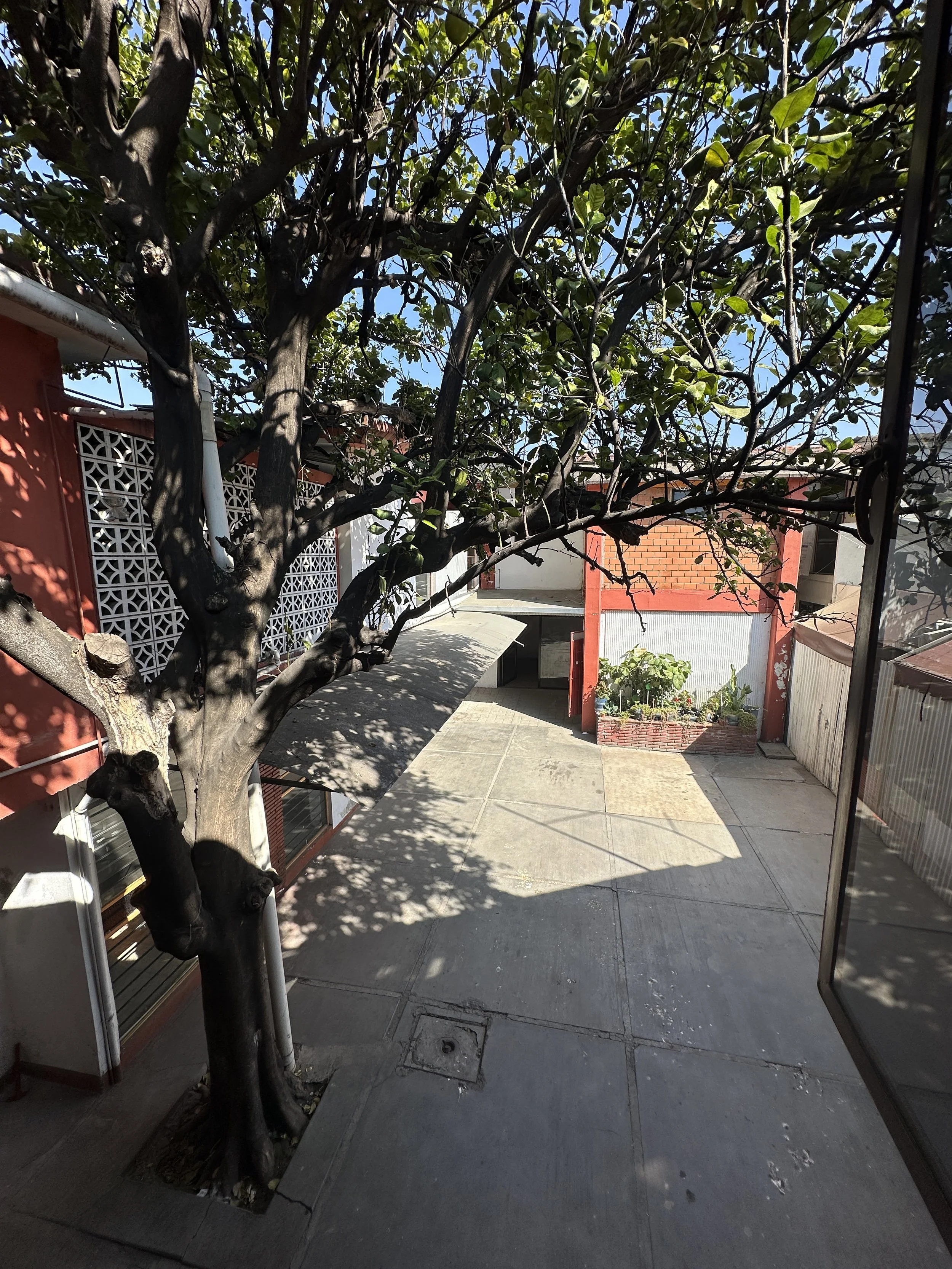 Hermosa Propiedad en el Barrio de Jalatlaco