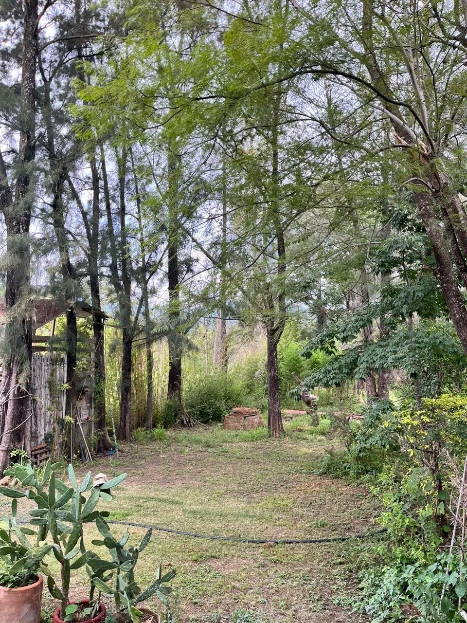 Casita Campirana en El Tule