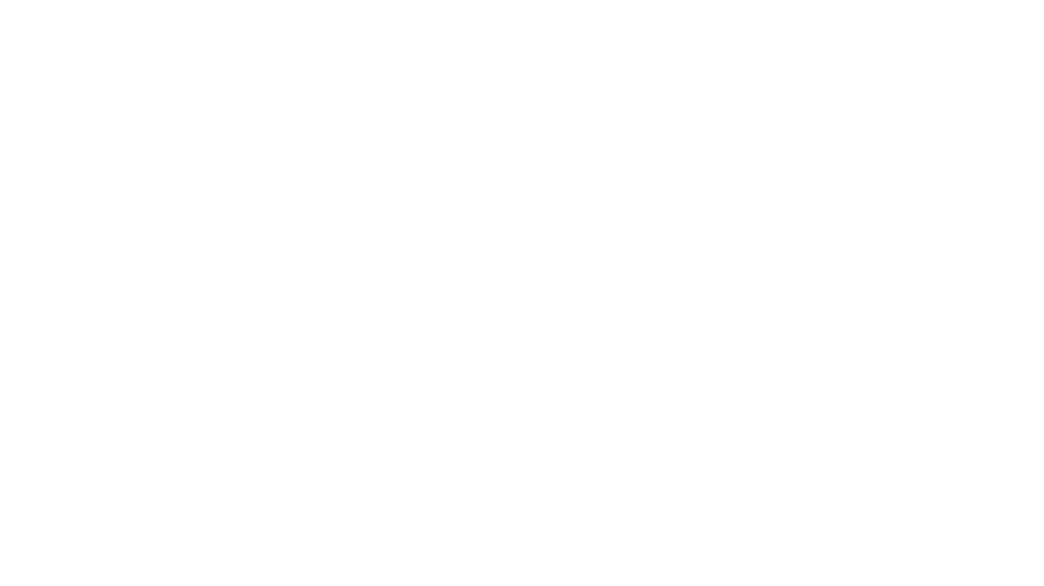 Morning Moon