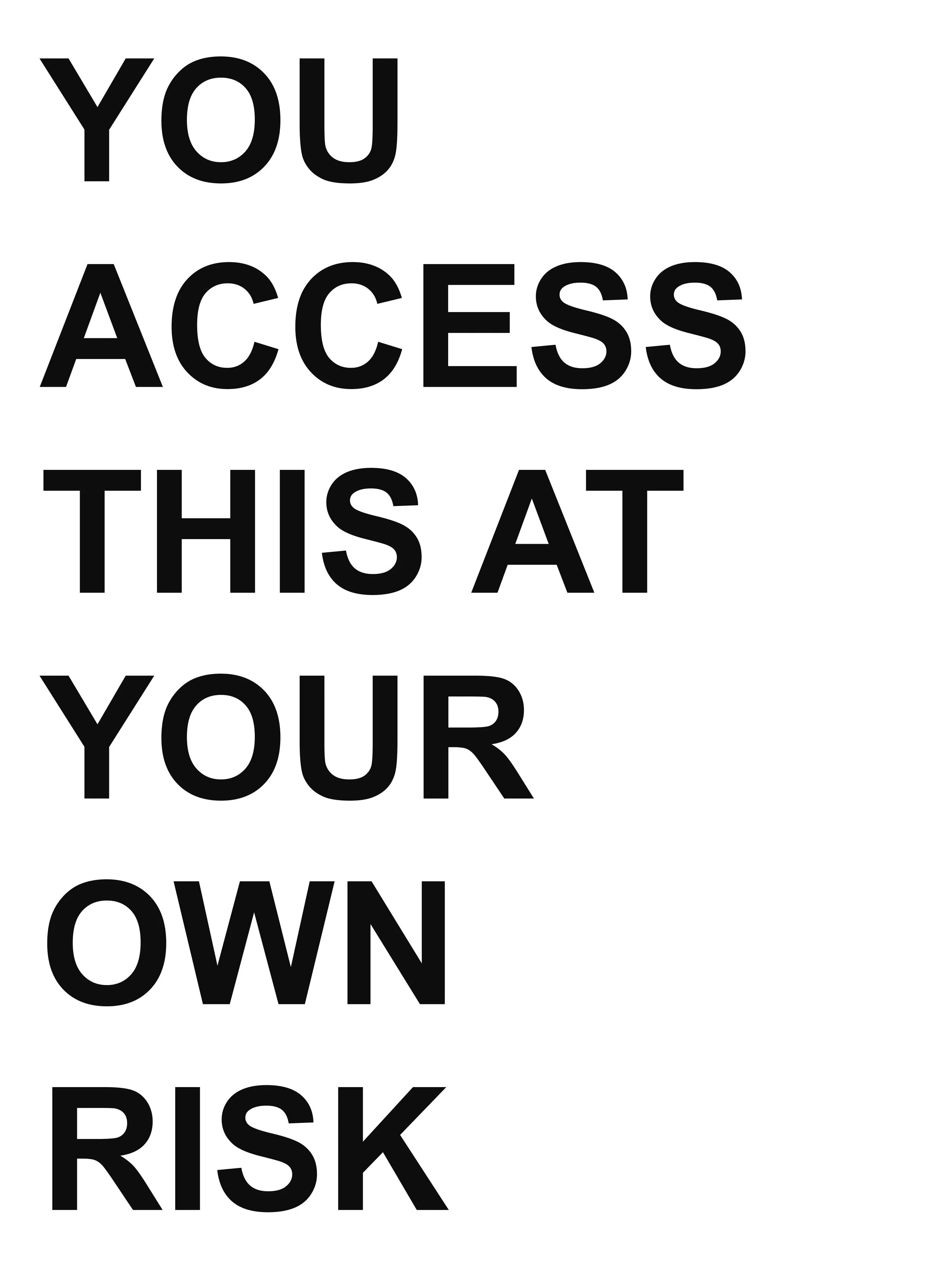 Own Risk, 2026. Text extracted from a standard software EULA / Terms of Service clause. PVC-free banner, 120 × 160 cm (47 ¼ × 63 in). Price on request