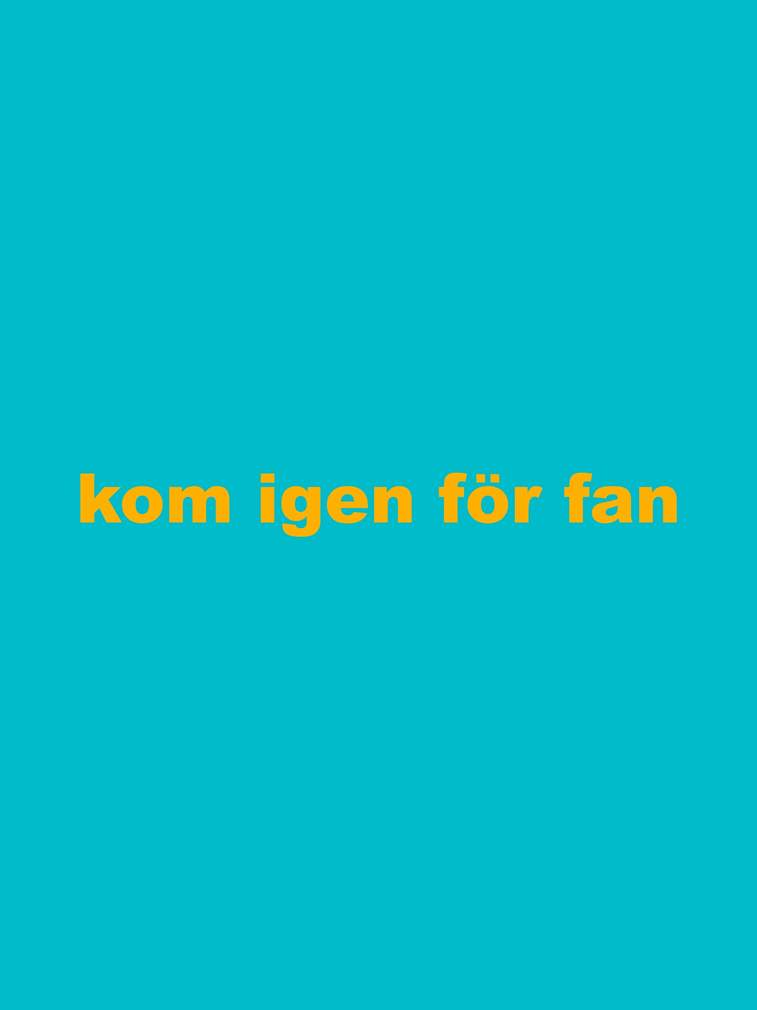 //kom igen för fan/
120 x 160cm, 2026
print on pvc/vinyl
EUR 12600