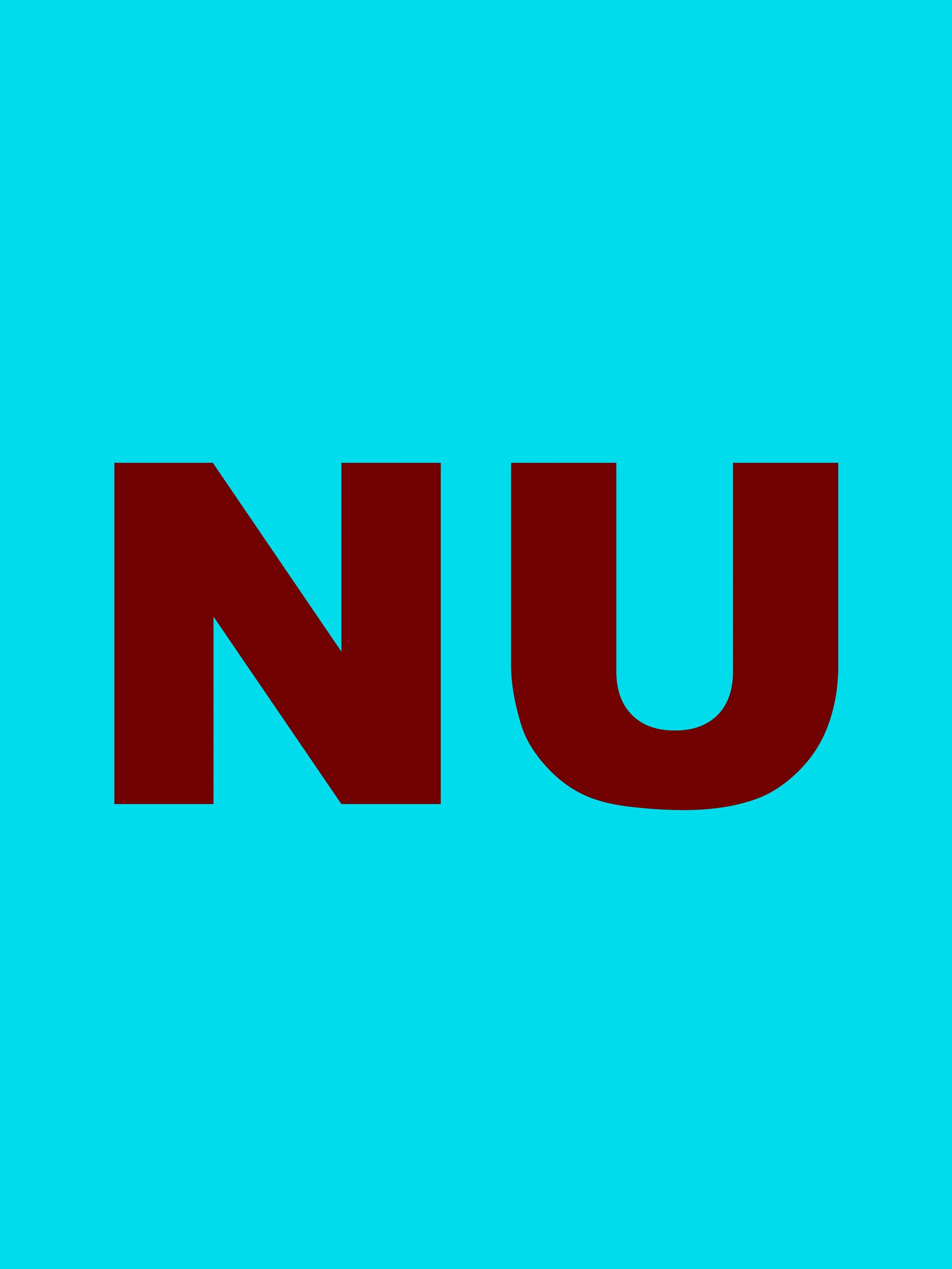 //nu//
120 x 160cm, 2026
print on pvc/vinyl
EUR 12600