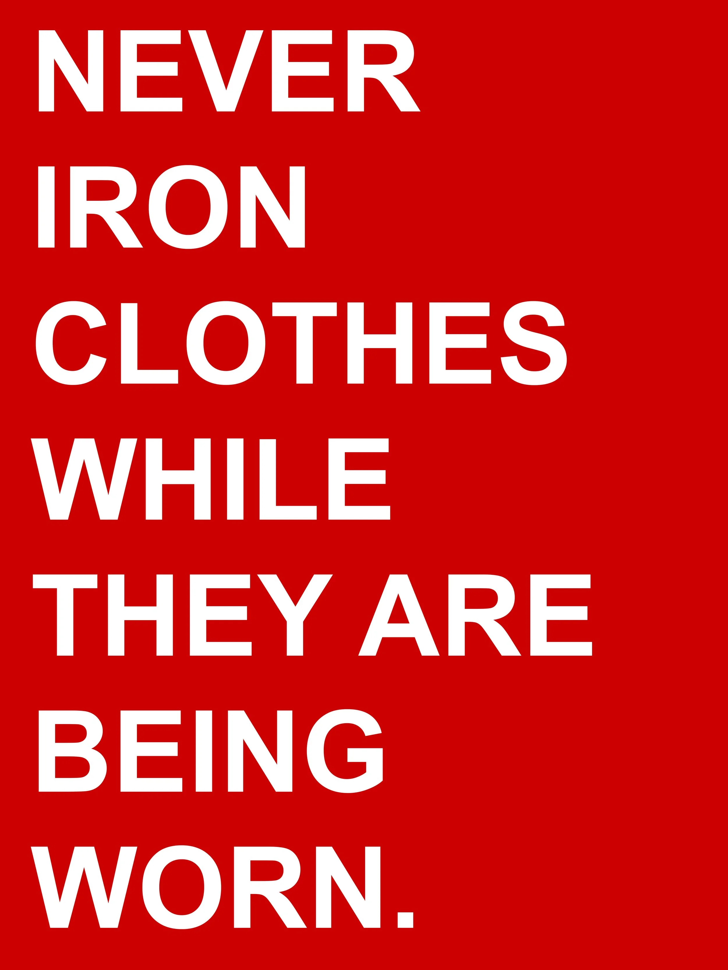 Never Iron, 2026. Text extracted from Steam Iron Instruction Manual, Rowenta Werke GmbH, Offenbach am Main. PVC-free banner, 120 × 160 cm (47 ¼ × 63 in). Price on request