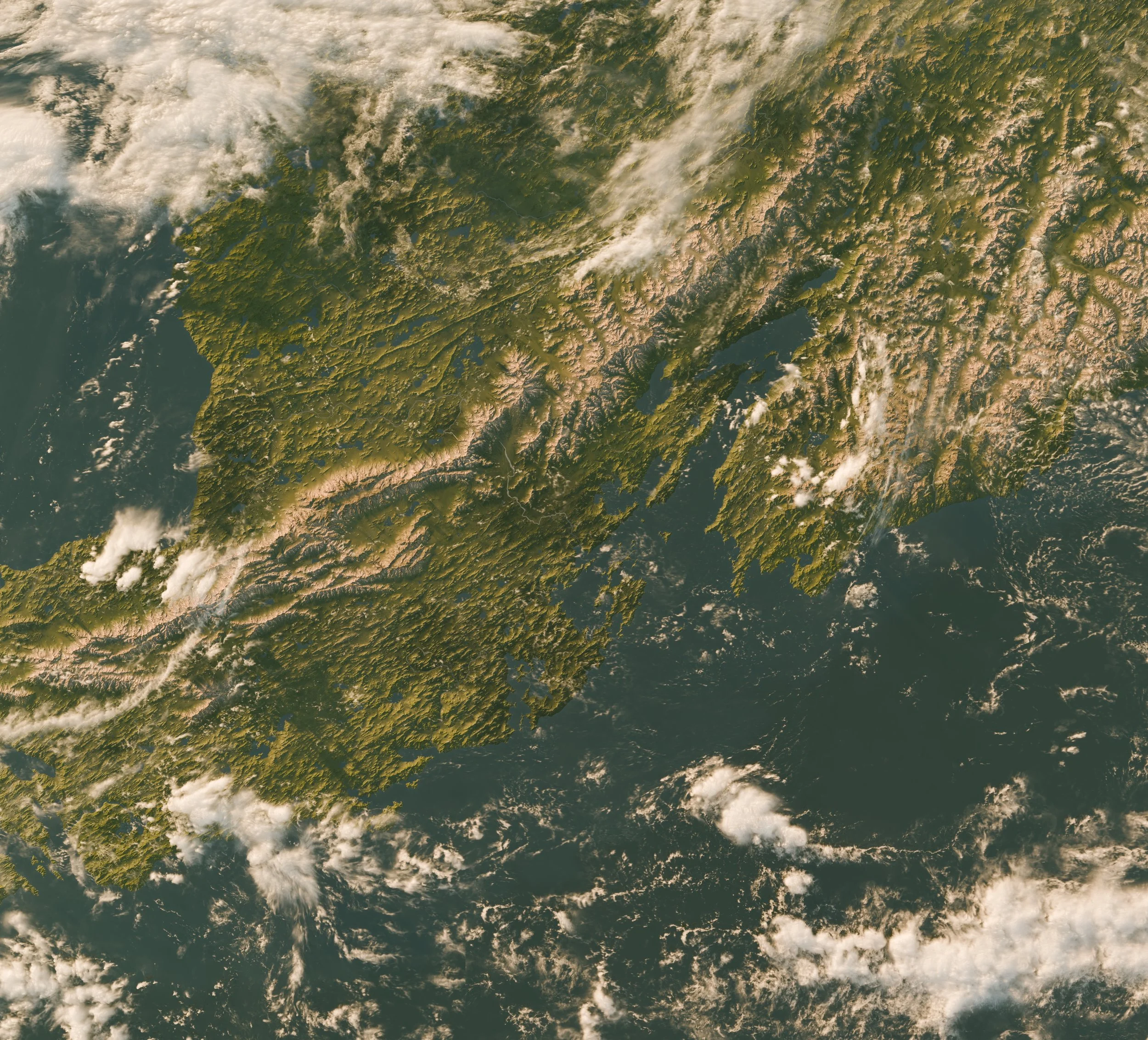 Image of Renske and the southern cape - The Sidereal Company of Honourable Astrologicians