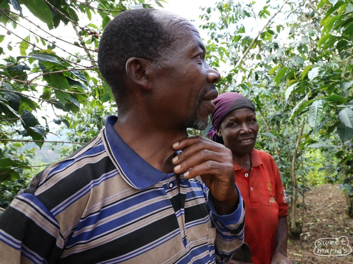 burundi-sweet-marias-migoti-murambi-4.jpg