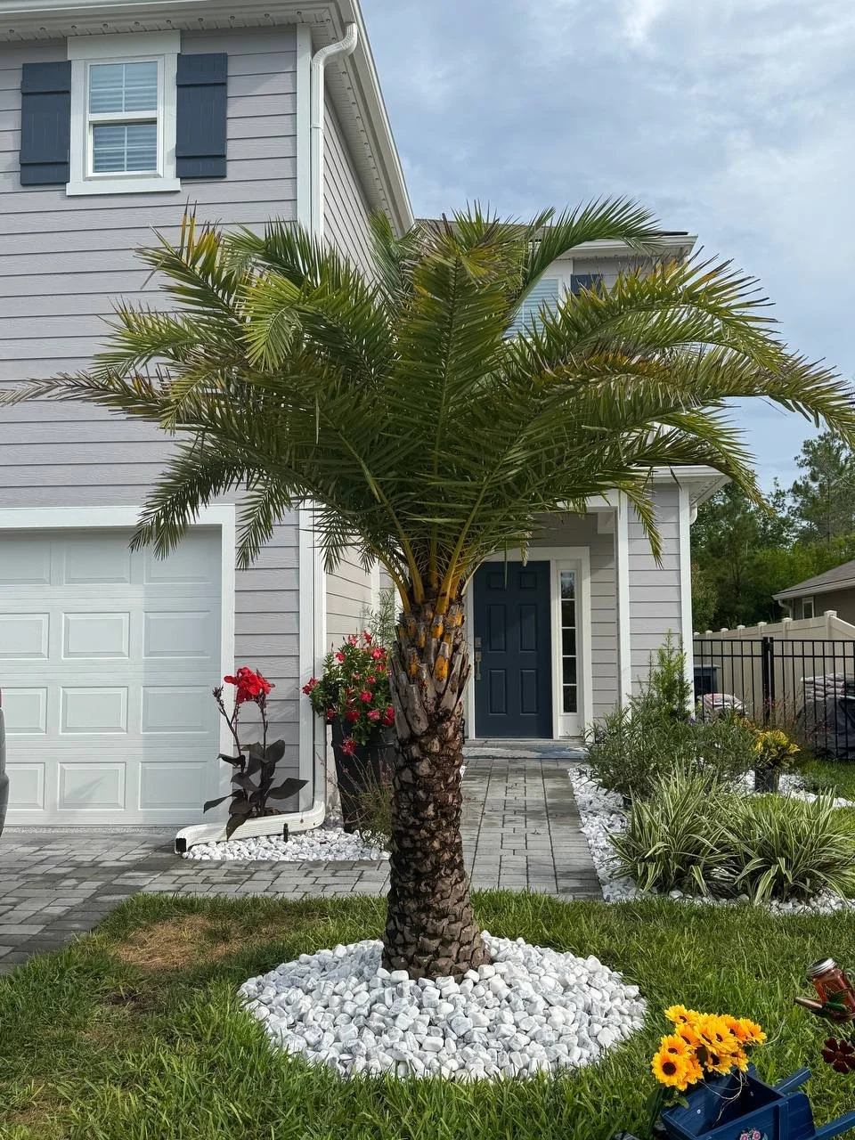 photo_2025-07-21 15.09.33.jpeg