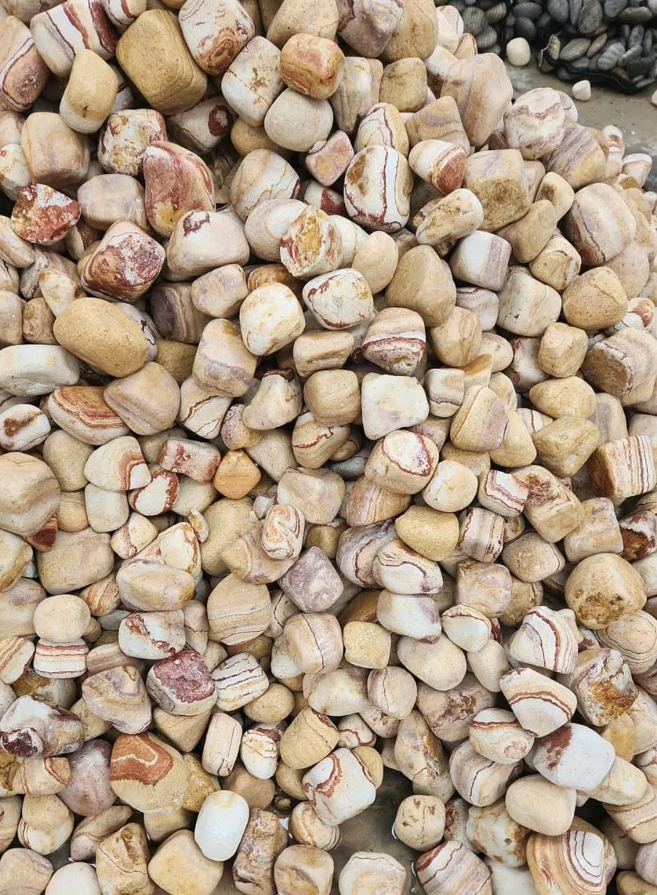 Wholesale Sunny Brown Sandstone Pebbles in warm cream beige and red tones