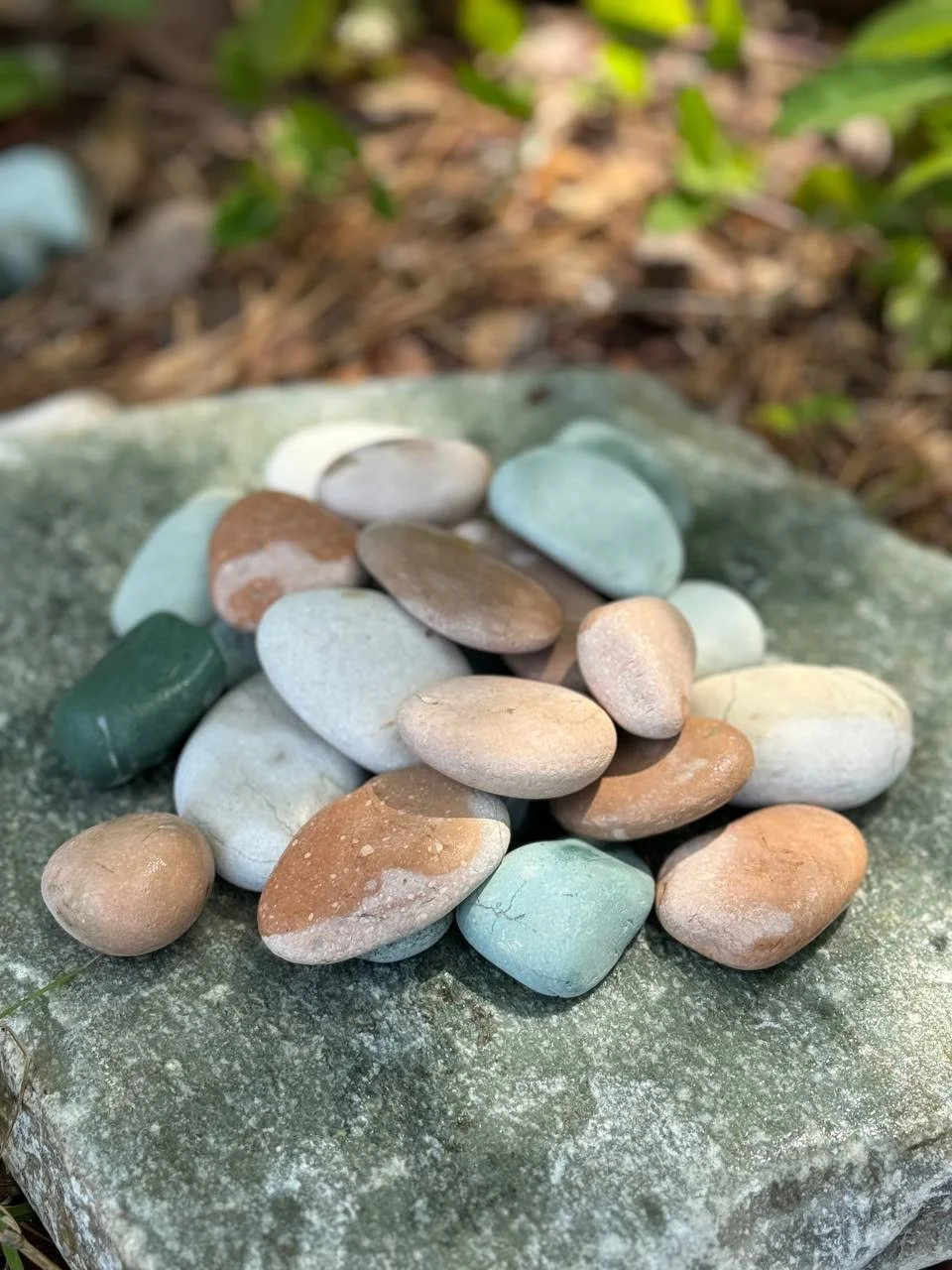 Wholesale Mixed Pacific Beach Pebbles in natural coastal colors