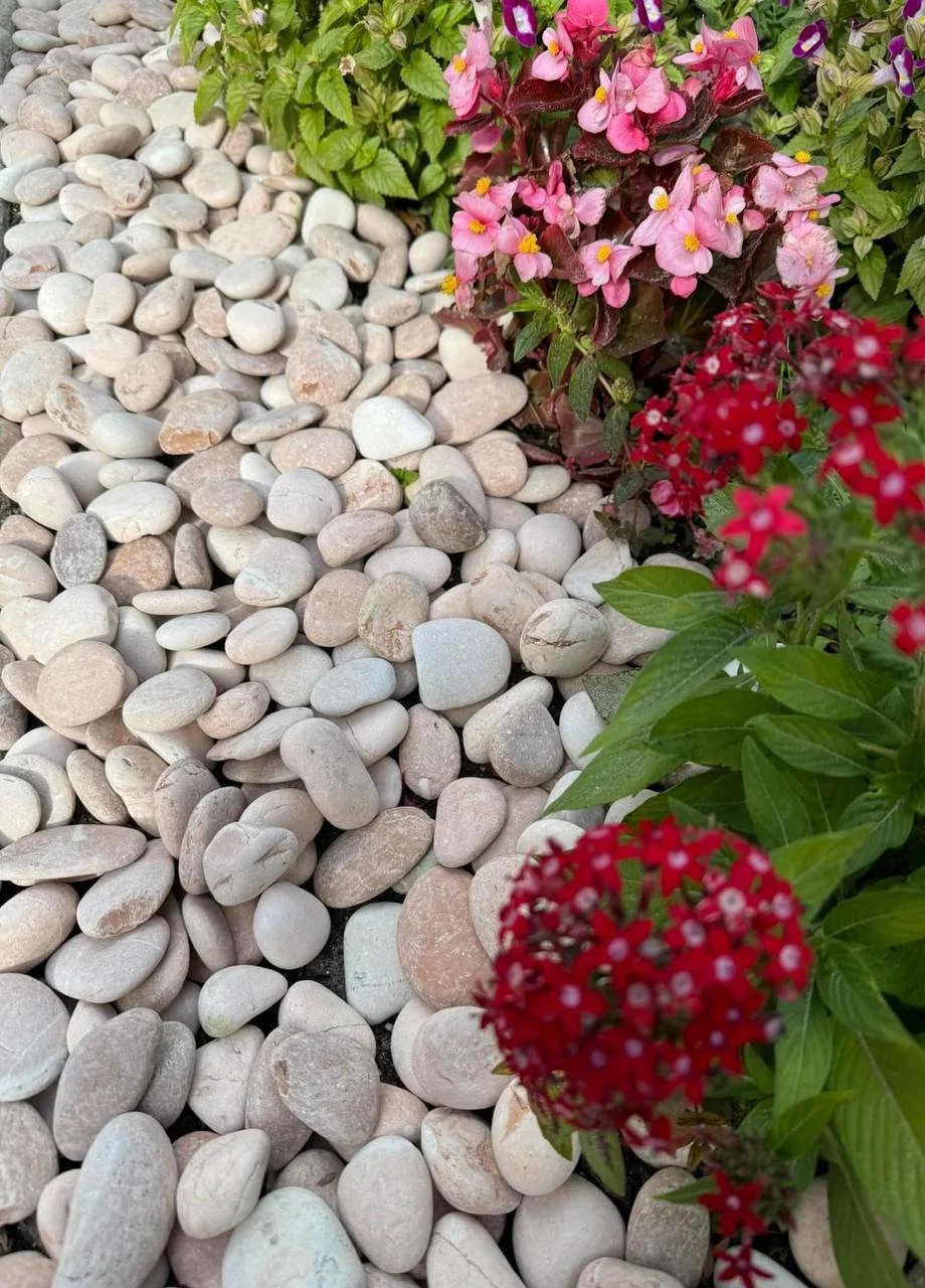 Wholesale Salmon Pacific Beach Pebbles in soft coastal tones