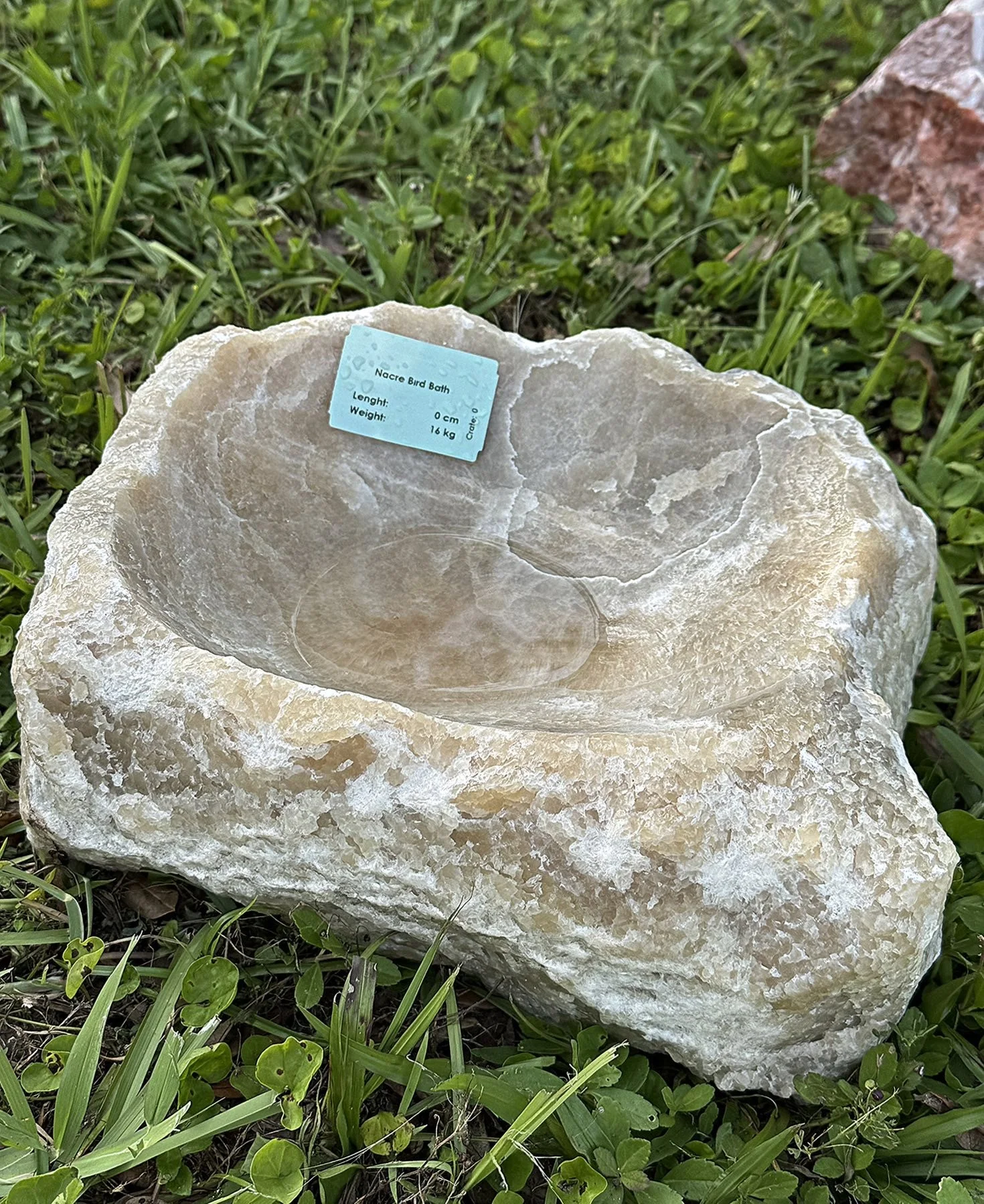 A large, rough, light-colored stone bowl with a small blue label on it, situated on green grass with some small plants and a partial brick in the background.