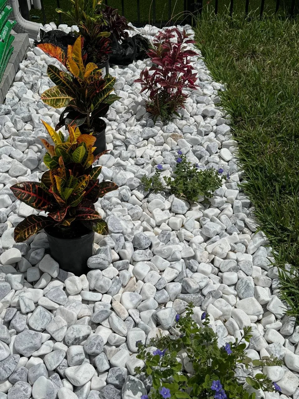 photo_2025-07-21 13.20.10.jpeg