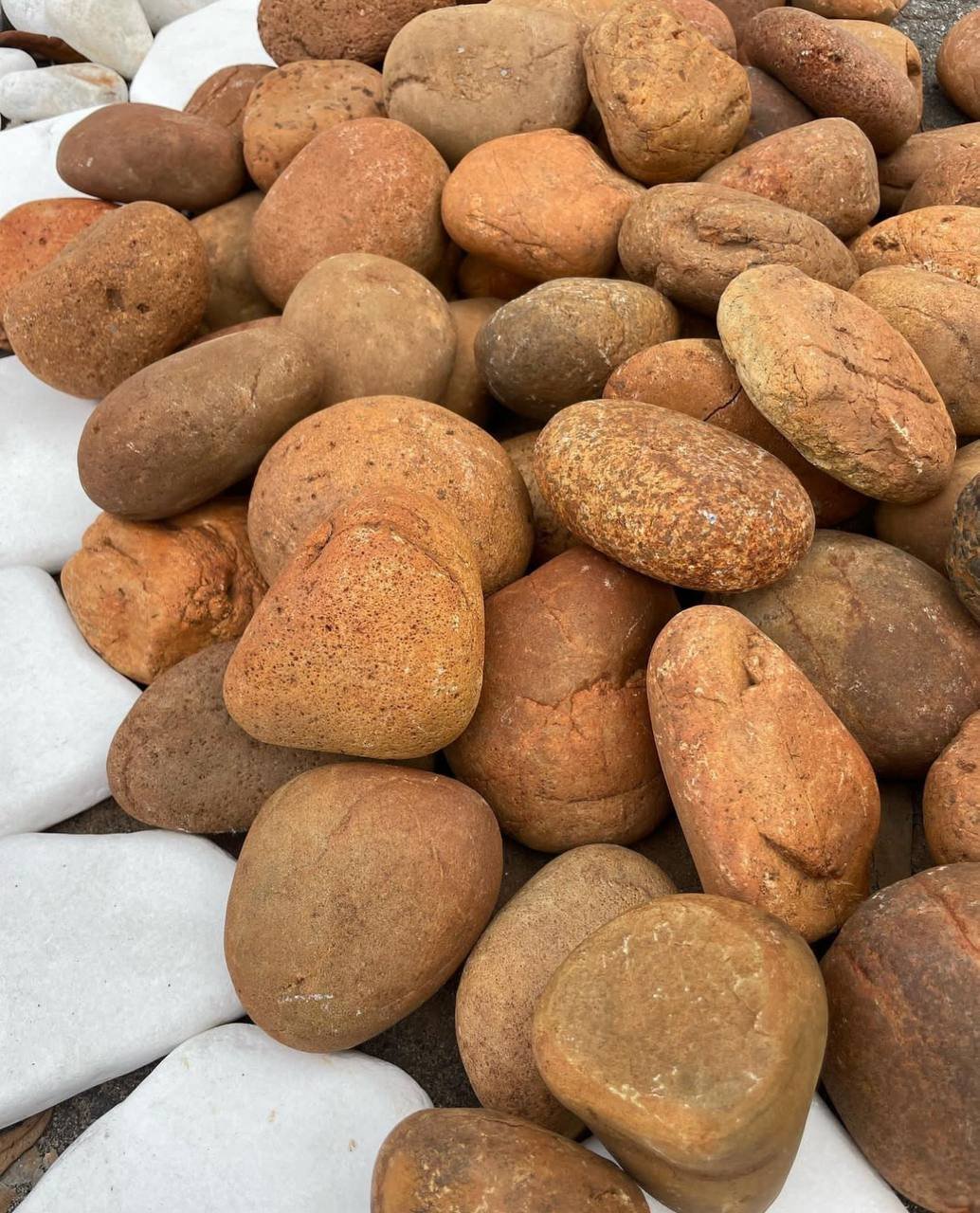 Wholesale Sunburst Mexican Beach Pebbles in warm tan and bronze tones
