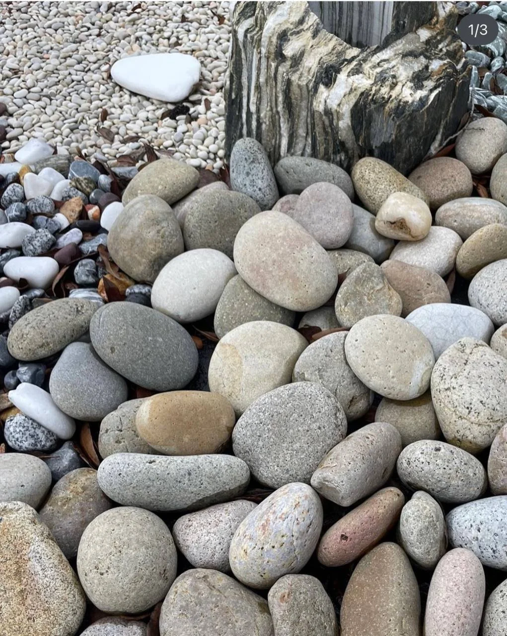 Wholesale Buff Mexican Beach Pebbles in cream beige and gray tones