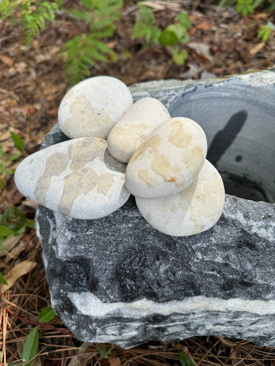 Wholesale Cream Pacific Beach Pebbles in ivory and pale beige tones