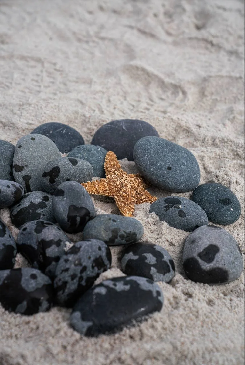 Wholesale Black Mexican Beach Pebbles for premium landscape projects