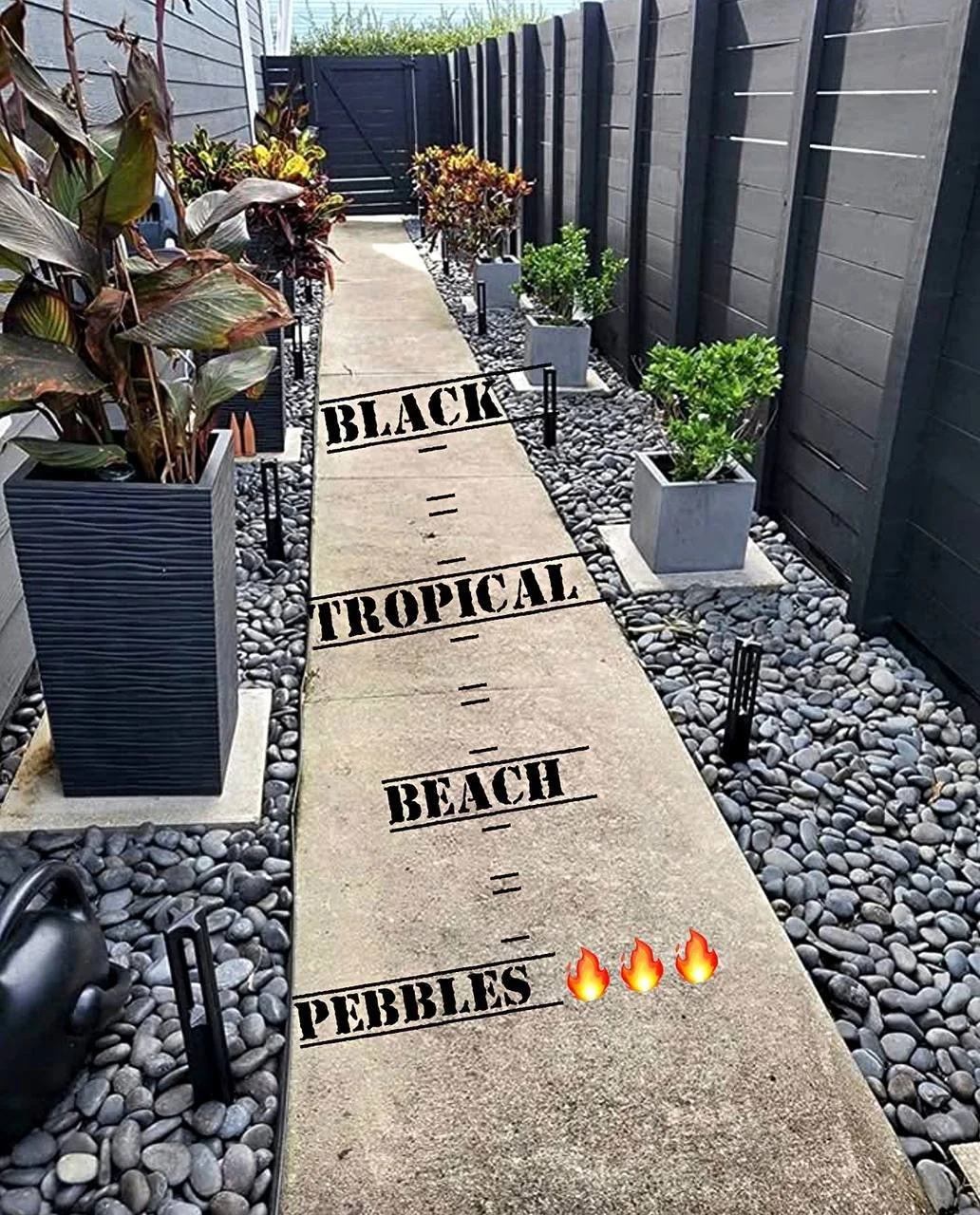 photo_2025-07-21 15.09.31.jpeg