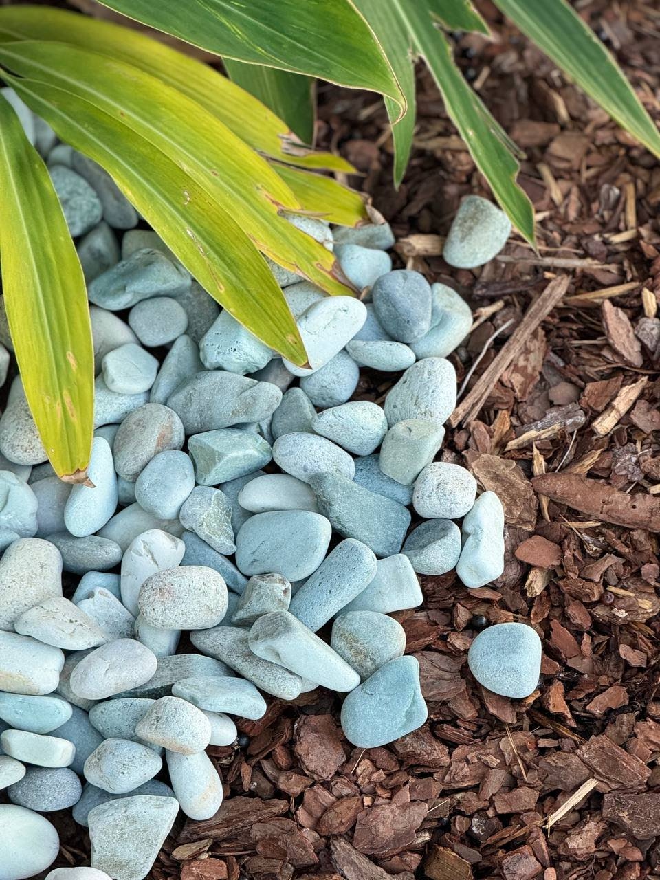 Green Jade Pacific Beach Pebbles installed around tropical plants