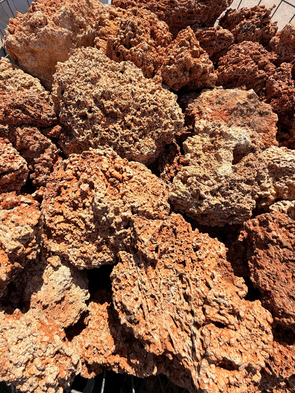 Wholesale Yellow Reef Coral rocks with warm porous texture