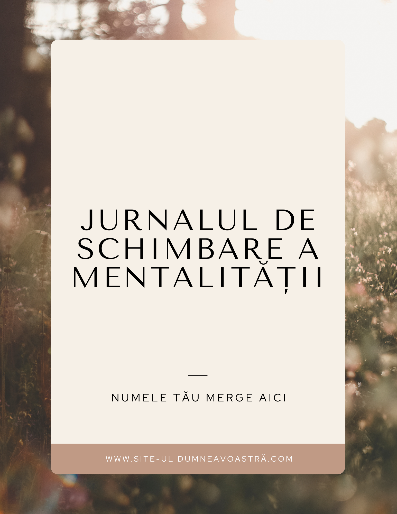 COPERTINA MINDSET.png