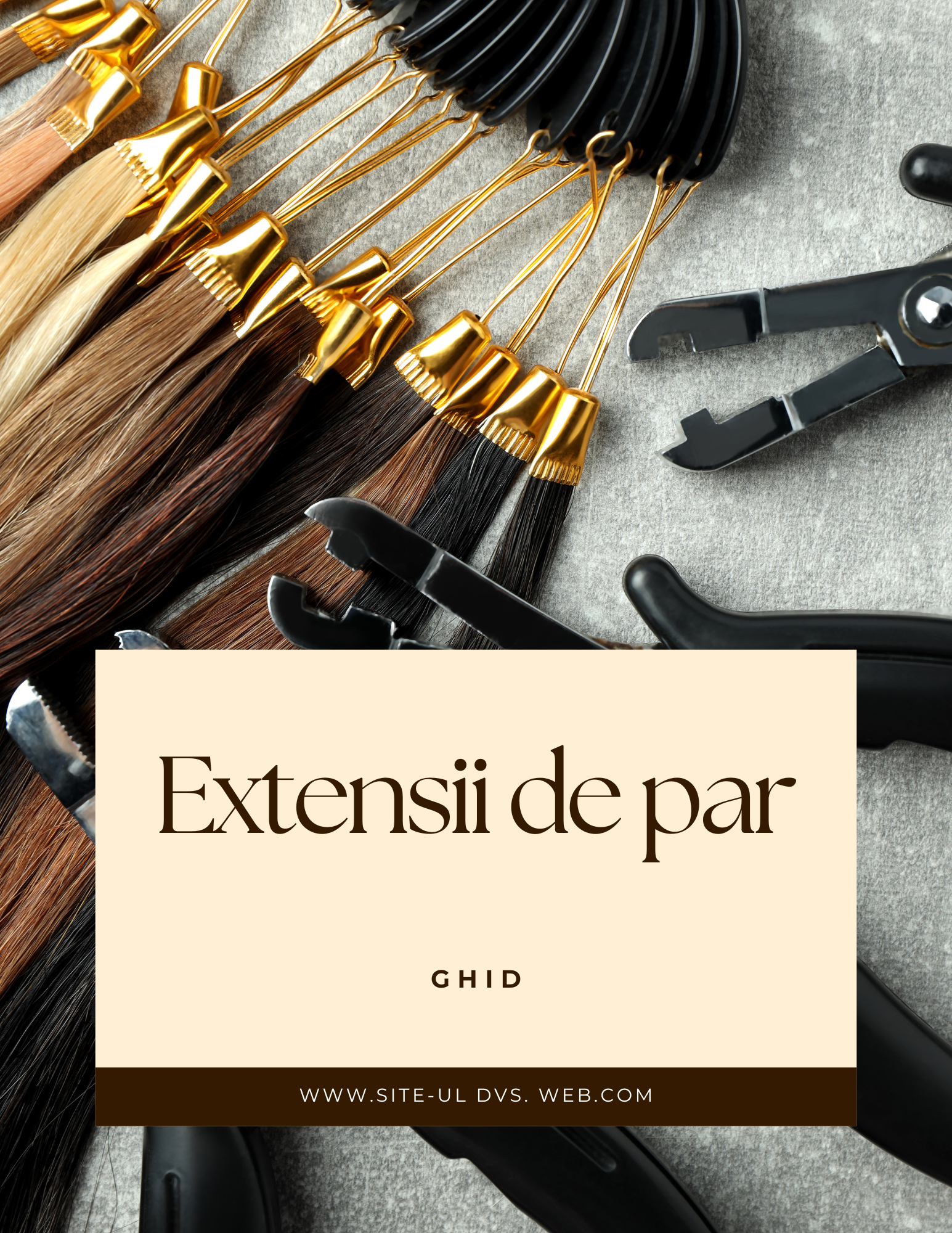 ghid extensii .png
