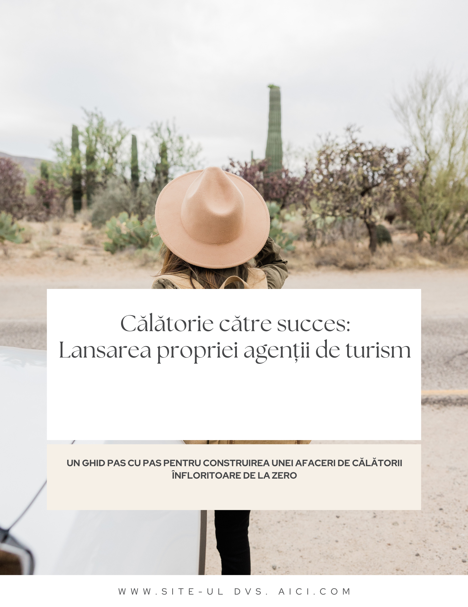 ghid agentie de calatorii.png