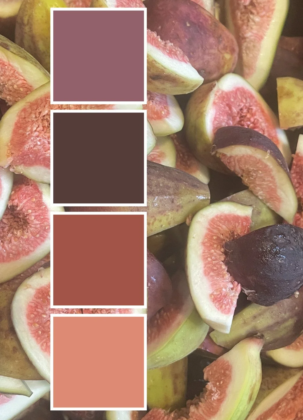 Figs color scheme