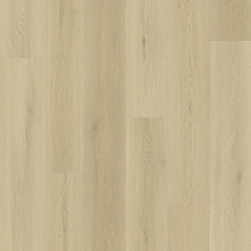 MS7502-Layout.webp