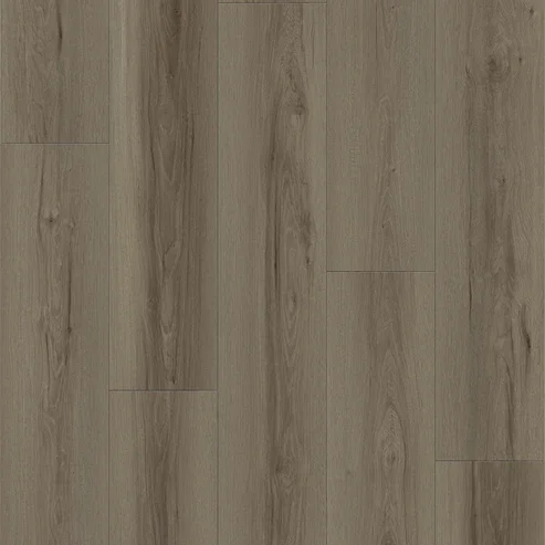 MS7511-Layout.webp