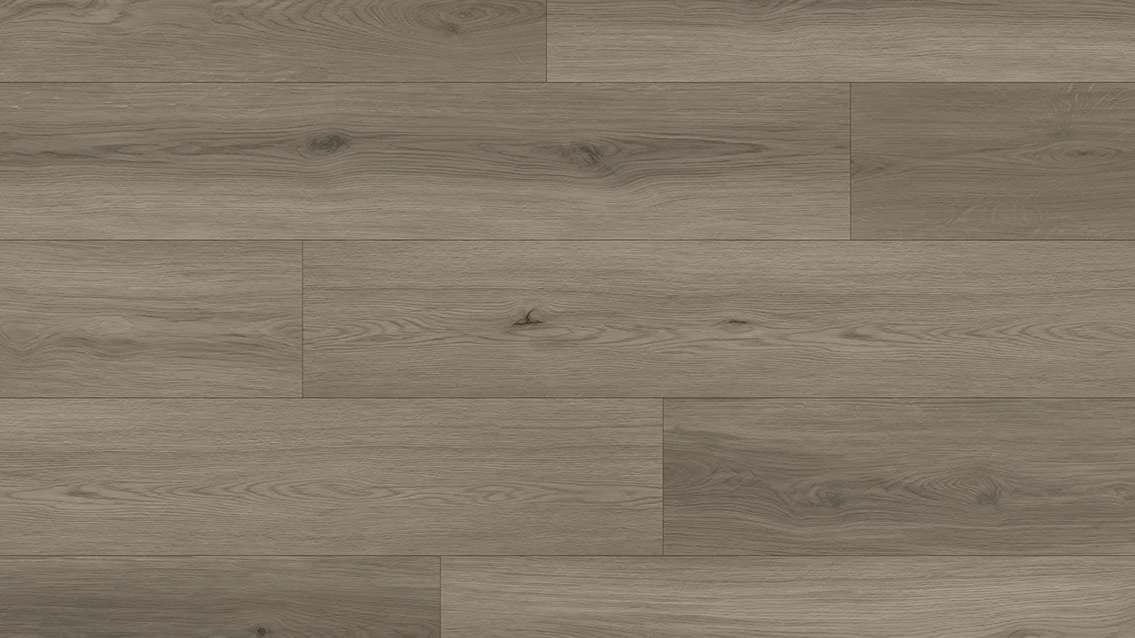 Distant-Shore-installation.webp
