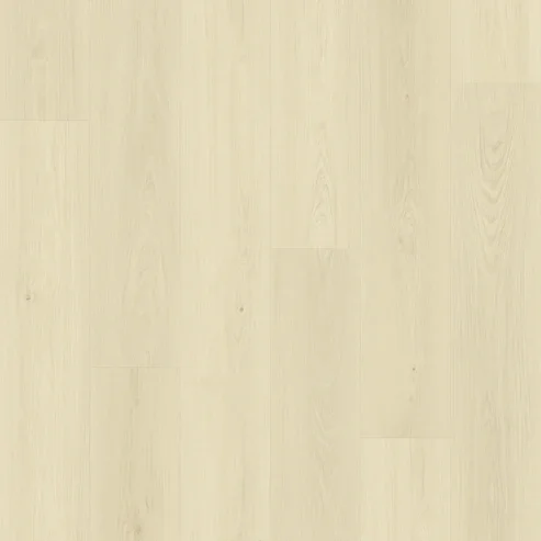 MS7512-Layout.webp