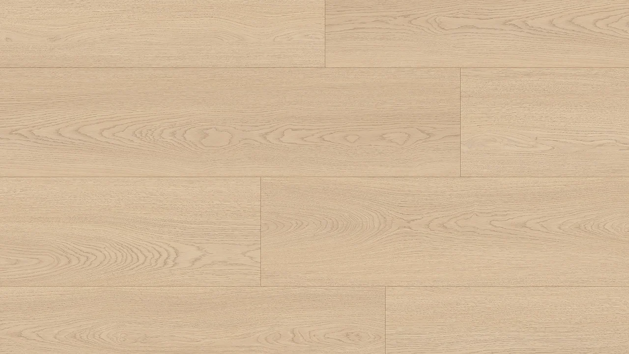Mistry-Birch-installation.webp