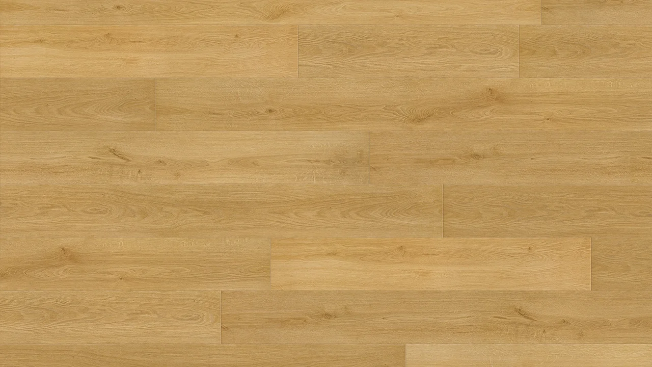 Las-vegas_1.webp