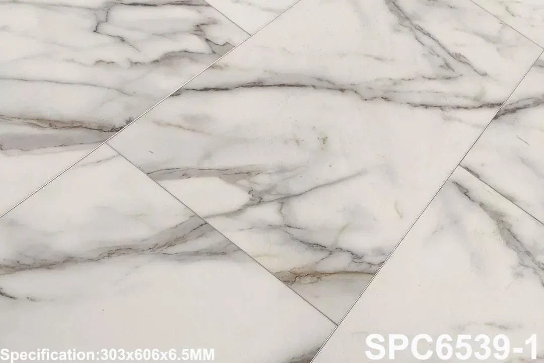 SPC 6539-1