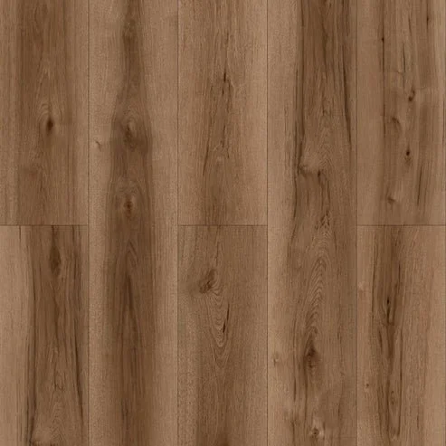 oakel-monica-MS7506-Layout.jpg