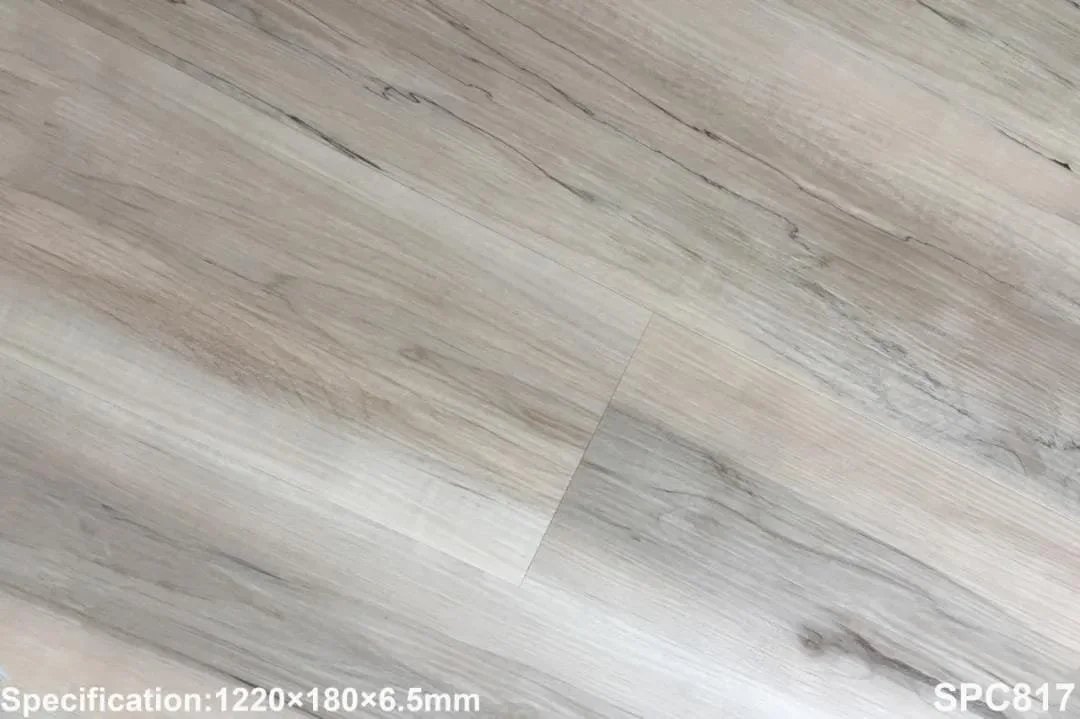 SPC 817
