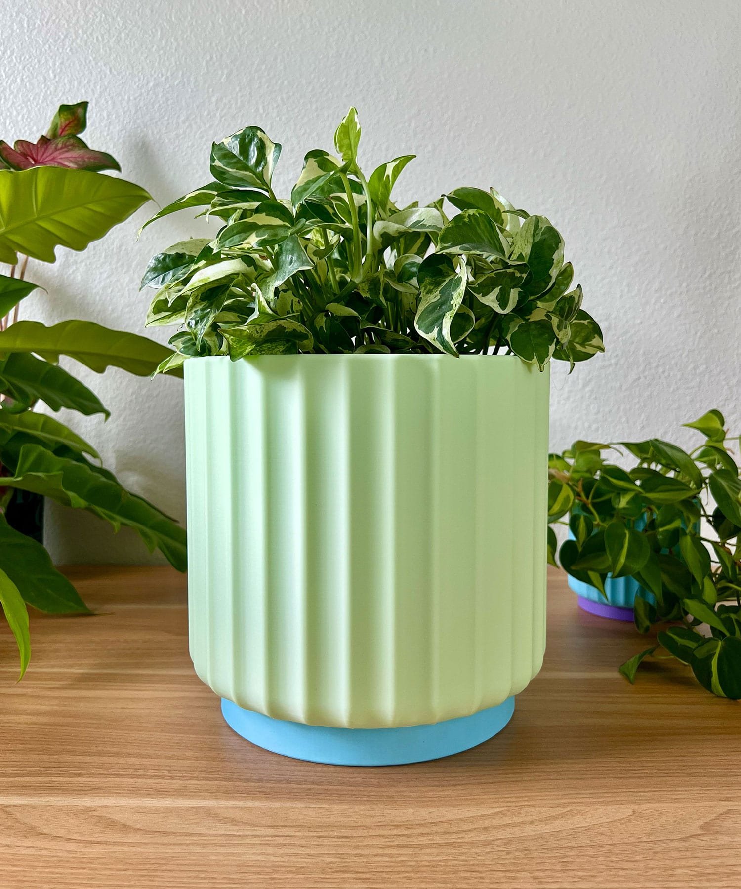large 8 inch light green planter sitting on a wood table against a cream colored wall with a green and white vine plant.