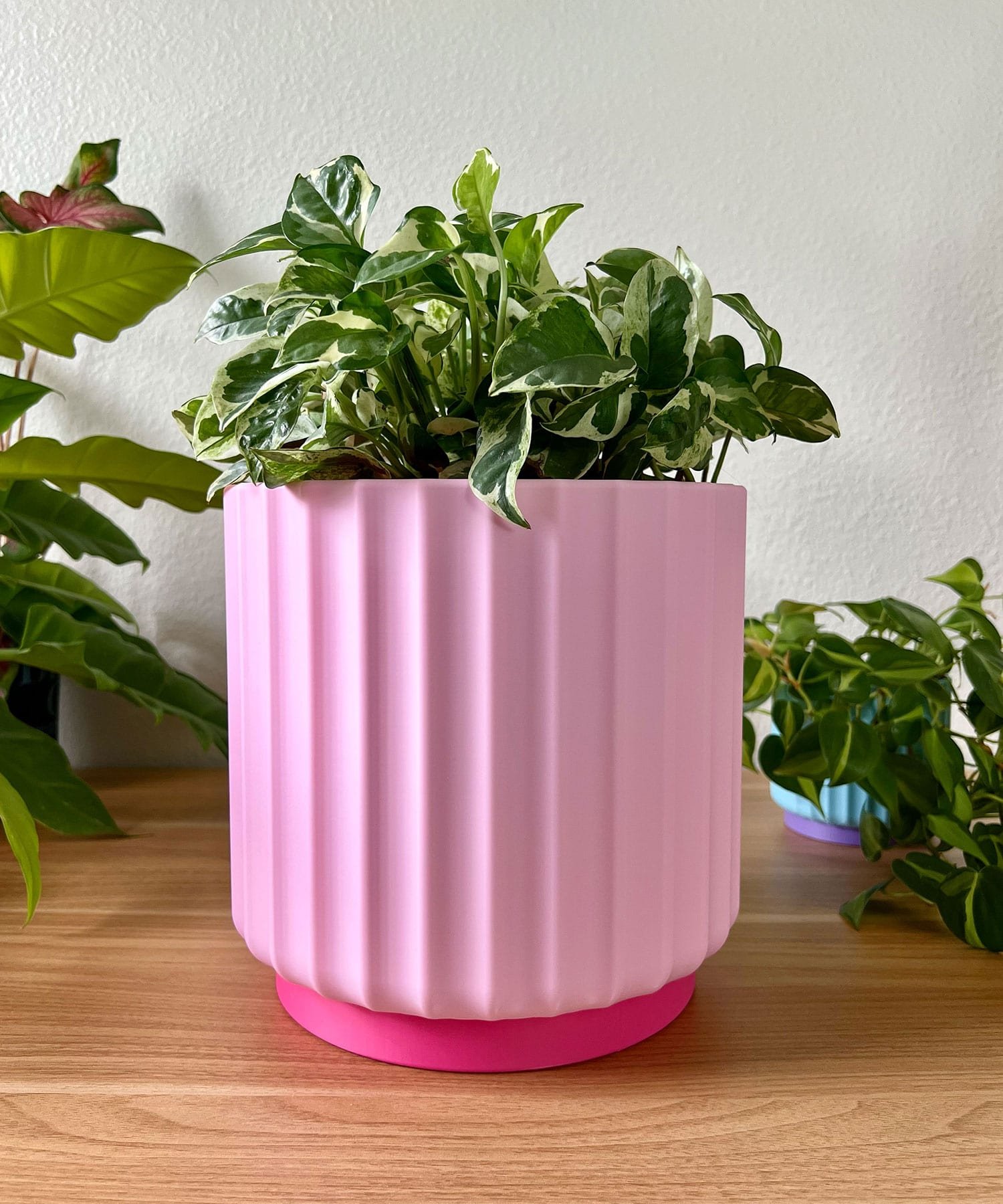 large 8 inch light pink planter sitting on a wood table against a cream colored wall with a green and white vine plant.