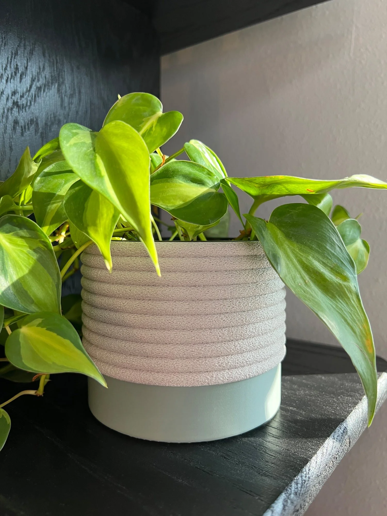neutral sage and off-white planter with a trailing plant on a black shelf
