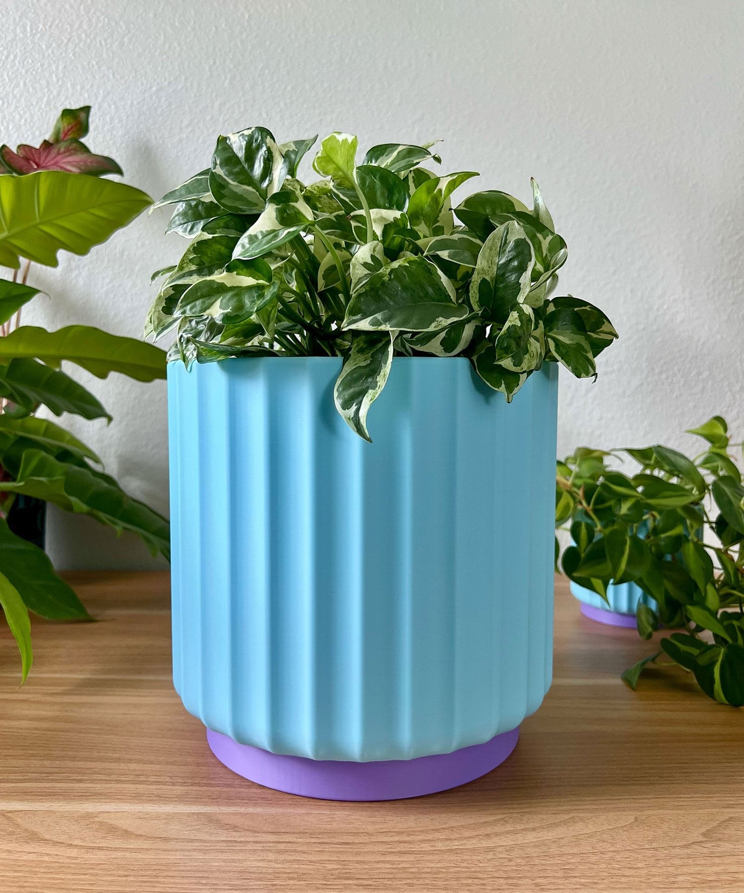 large 8 inch light blue planter sitting on a wood table against a cream colored wall with a green and white vine plant.