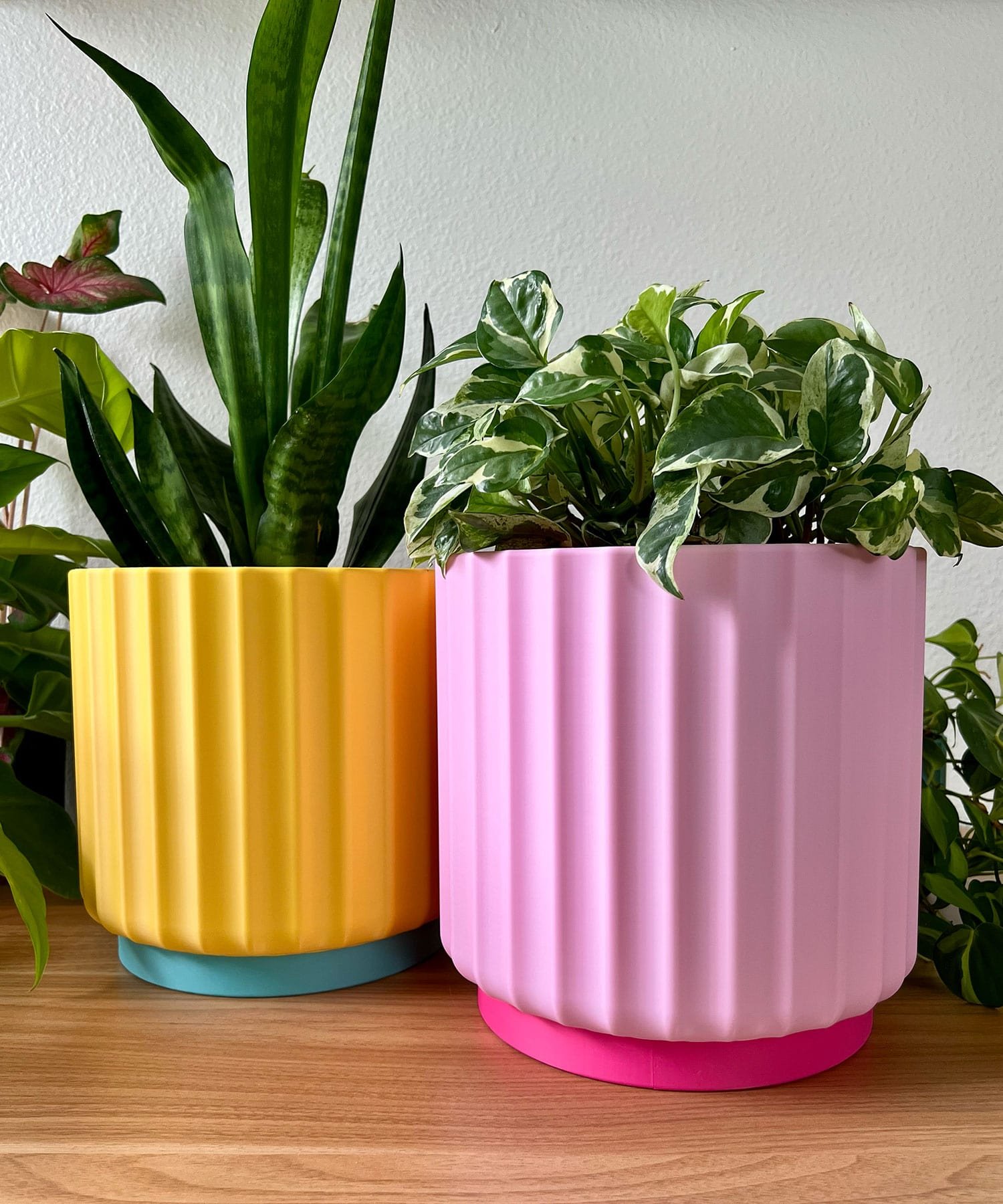 large colorful 8 inch planters in bright sunny yellow with a snake plant and light pink with a vine plant.