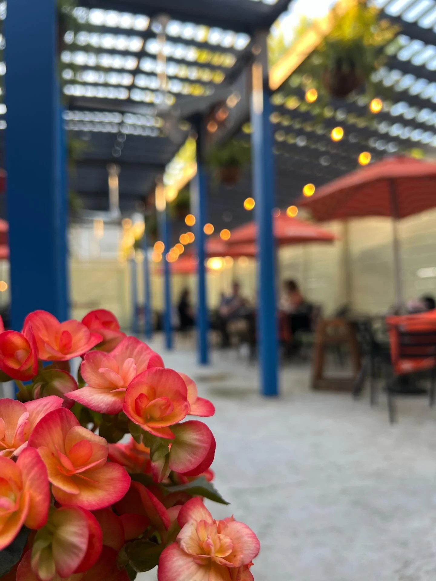 It&rsquo;s patio time!!! Join us for dinner on our charming little secret patio 🫶

Buon apetito! Reservations on our website or Tock. Walk ins welcome!