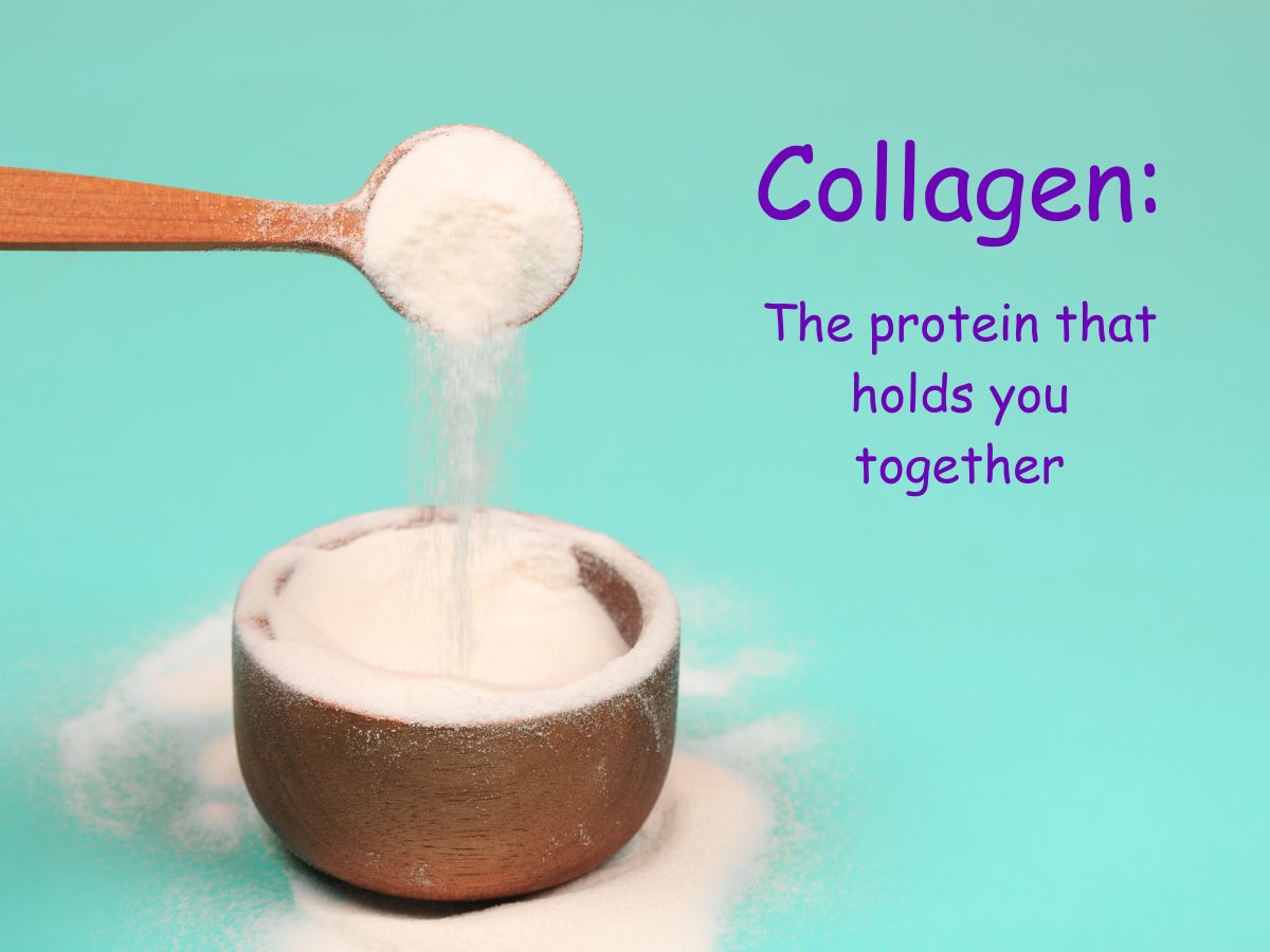 ✨ Collagen: The Protein That Holds You Together