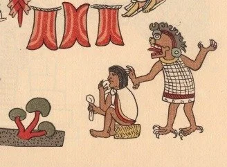 drawing depicting Teonanacatl use in sixteenth century, showing male figure sitting, ingesting the mushroom