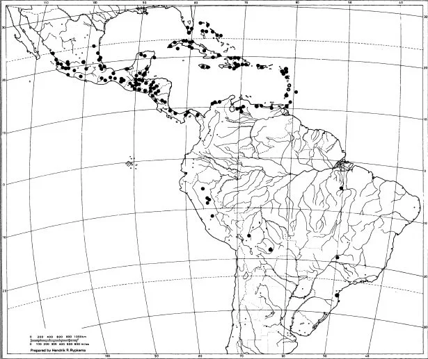 MAP 3 DISTRIBUTION OF IPOMOEA CORYMBOSA.jpg