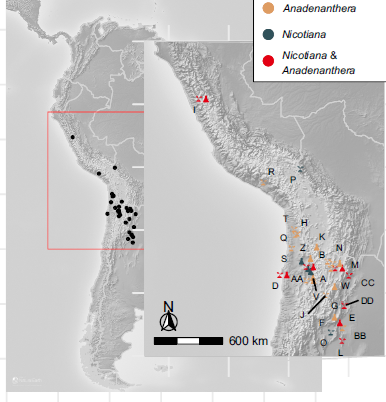 MAP 8 VILCA ANDENANTHERA PEREGRINA.png