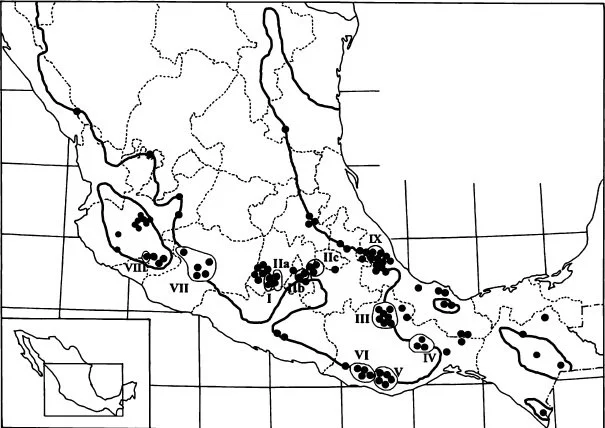 MAP 5.  PSILOCYBE MUSHROOMS DISTRIBUTION GASTON GUZMAN.jpg