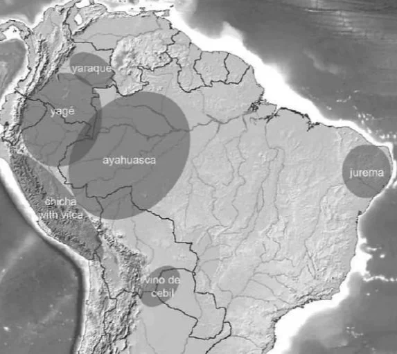 MAP 10 AYAHUASCA YAJE.jpg